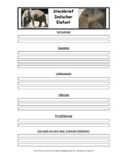 Indischer-Elefant-Tiersteckbriefvorlage.pdf